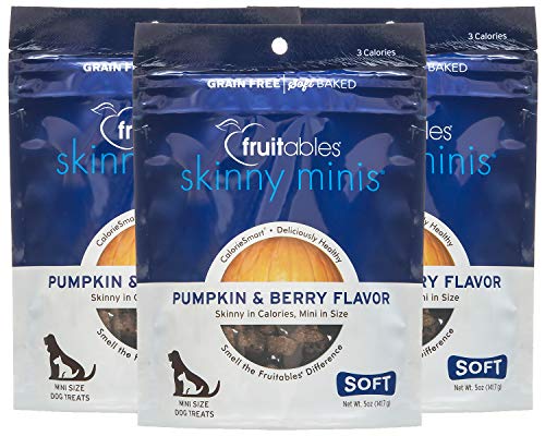 Fruitables Skinny Minis Dog Treats - Soft Pumpkin & Berry Flavor -  - 5 Oz